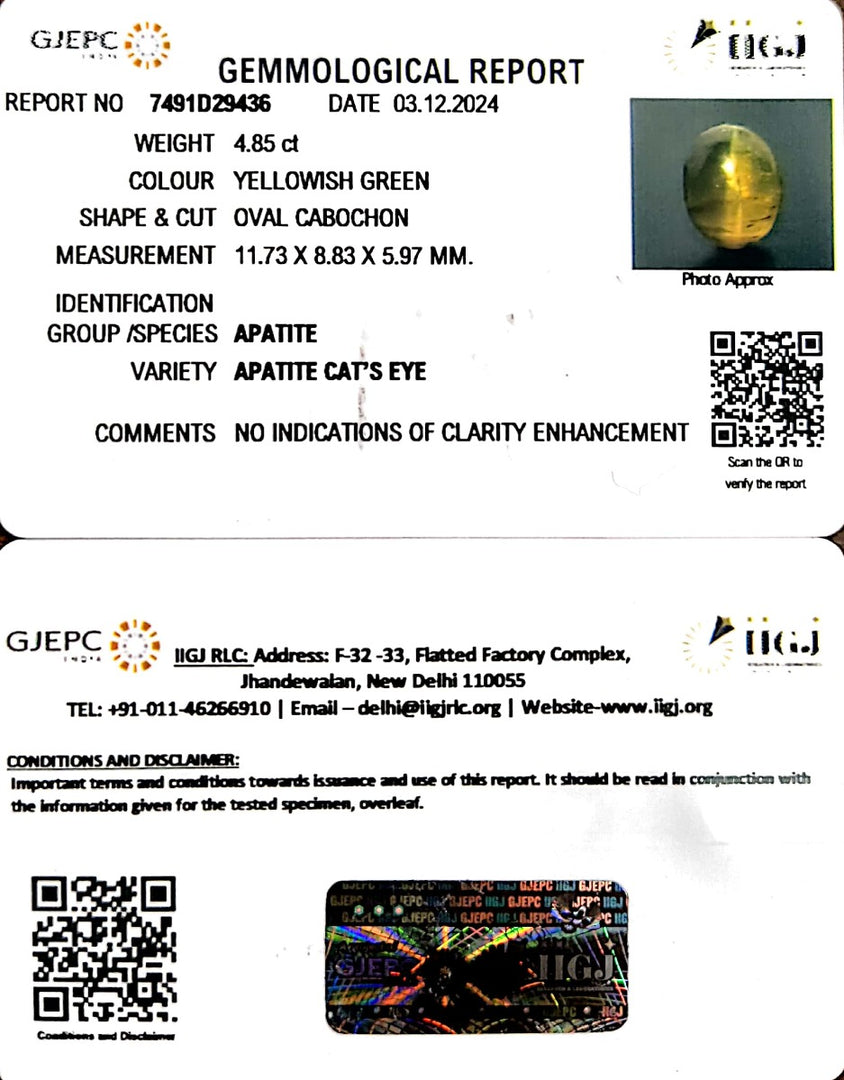 4.85/CT Natural Apatite Cat's Eye with Govt. Lab certificate-1221