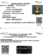 Load image into Gallery viewer, 4.94/CT Natural Apatite Cat&#39;s Eye with Govt. Lab certificate-1221
