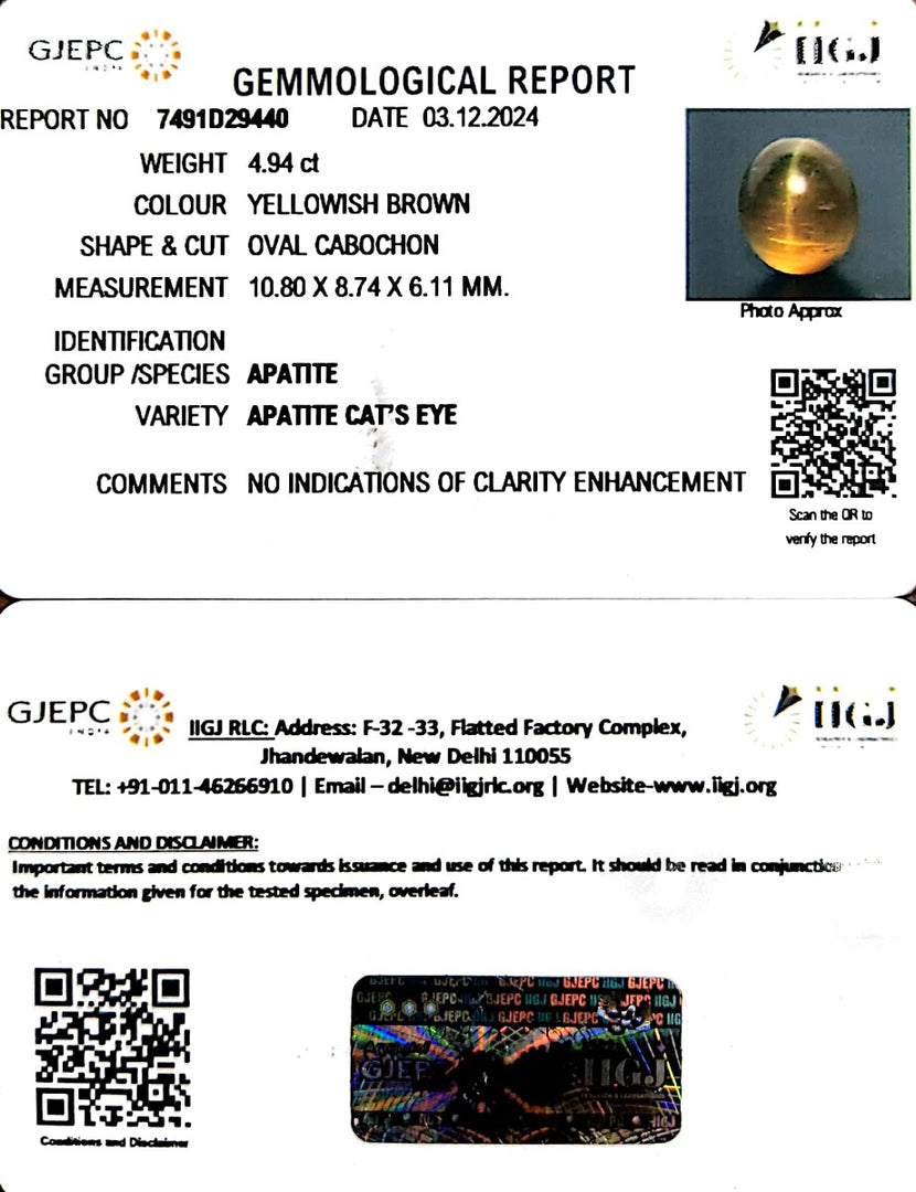 4.94/CT Natural Apatite Cat's Eye with Govt. Lab certificate-1221