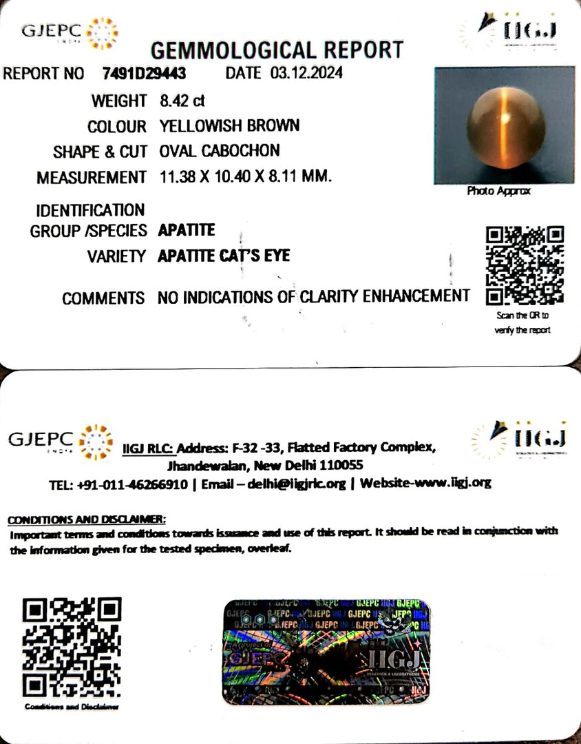 8.42/CT Natural Apatite Cat's Eye with Govt. Lab certificate-1221