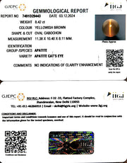 8.42/CT Natural Apatite Cat's Eye with Govt. Lab certificate-1221