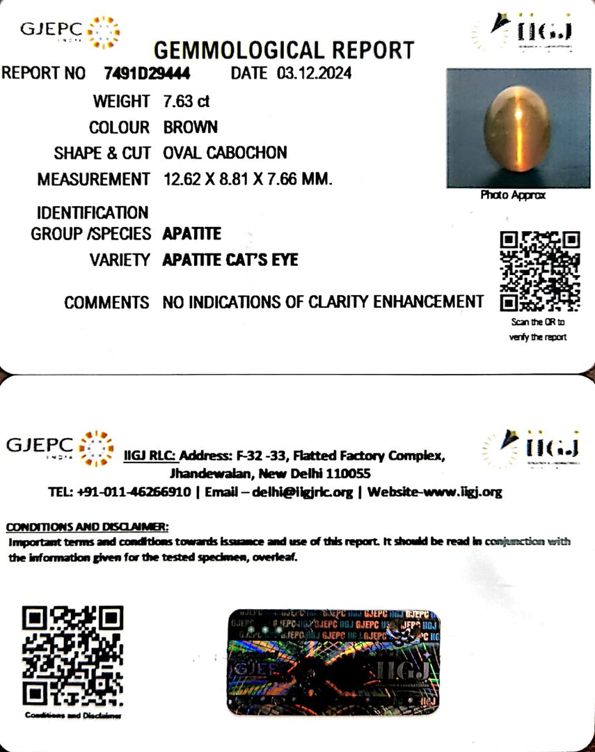 7.63/CT Natural Apatite Cat's Eye with Govt. Lab certificate-1221