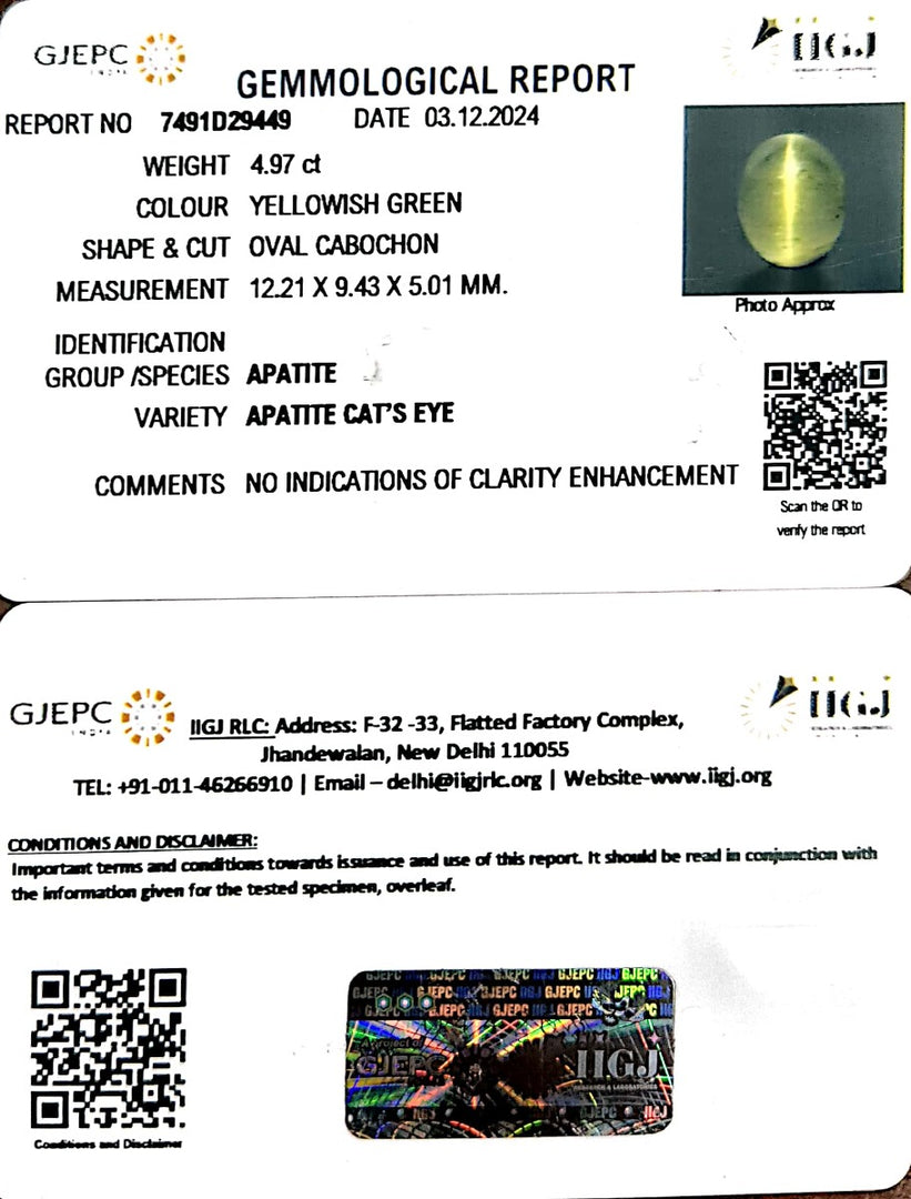 4.97/CT Natural Apatite Cat's Eye with Govt. Lab certificate-1221