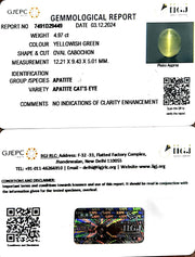 4.97/CT Natural Apatite Cat's Eye with Govt. Lab certificate-1221