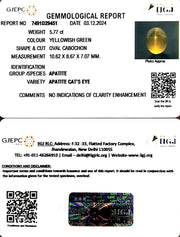 5.76/CT Natural Apatite Cat's Eye with Govt. Lab certificate-1221