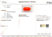 14.22/Carat Natural Italian Red Coral (2100)