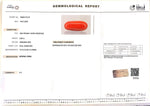 Load image into Gallery viewer, 8.96/Carat Natural Red Coral (2100)
