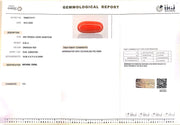 9.05/Carat Natural Red Coral (2100)