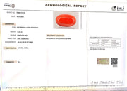 12.00/Carat Natural Red Coral (2100)