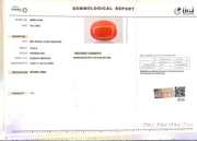 12.55/Carat Natural Red Coral (2100)