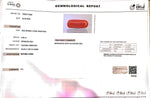 Load image into Gallery viewer, 6.68/CT Natural Red Coral With Govt. Lab Certificate

