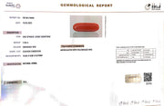 7.08/Carat Natural Cylindrical Red Coral (1800)