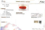 Load image into Gallery viewer, 6.92/Carat Natural Cylindrical Red Coral (1800)
