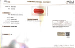 Load image into Gallery viewer, 6.25/Carat Natural Cylindrical Red Coral (1500)
