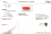 6.25/Carat Natural Cylindrical Red Coral (1500)