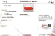 6.56/Carat Natural Cylindrical Red Coral (1800)