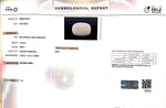 Load image into Gallery viewer, 12.43/CT White Coral With Govt. Lab Certified (1500)
