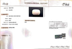 Load image into Gallery viewer, 19.89/CT White Coral With Govt. Lab Certified (1500)
