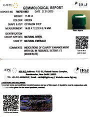 11.88/CT Natural Panna Stone with Govt. Lab Certificate-4551