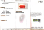 Load image into Gallery viewer, 7.86/CT Natural Red Coral With Govt. Lab Certificate
