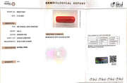 8.79/Carat Natural Cylindrical Red Coral (1800)