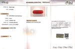 Load image into Gallery viewer, 8.64/Carat Natural Cylindrical Red Coral (1800)
