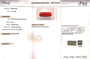 8.64/Carat Natural Cylindrical Red Coral (1800)