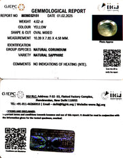 4.02/CT Natural Yellow Sapphire With Govt Lab Certificate