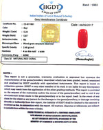 Load image into Gallery viewer, Natural Italian Moonga
