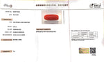 Load image into Gallery viewer, 5.53/Carat Natural Cylindrical Red Coral (1500)
