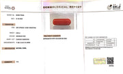 6.66/Carat Natural Cylindrical Red Coral (1800)