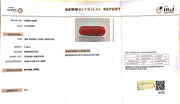 7.19/Carat Natural Cylindrical Red Coral (1800)