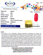 Load image into Gallery viewer, Natural Italian Moonga
