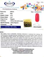 Load image into Gallery viewer, Natural Italian Moonga
