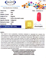 Load image into Gallery viewer, Natural Italian Moonga
