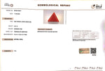 Load image into Gallery viewer, 5.91/Carat Natural Triangular Red Coral (1800)
