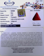 Load image into Gallery viewer, 4.65/CT Natural Triangular Red Coral-1332
