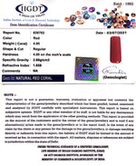 Load image into Gallery viewer, 5.49 Ratti italian Red Coral
