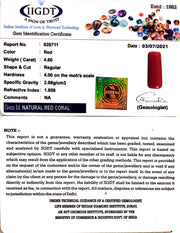 5.10 Ratti italian Red Coral