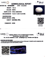 Load image into Gallery viewer, 7.65/CT Natural Opal with Govt. Lab Certificate
