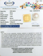 Load image into Gallery viewer, FRESH WATER PEARL-(277)
