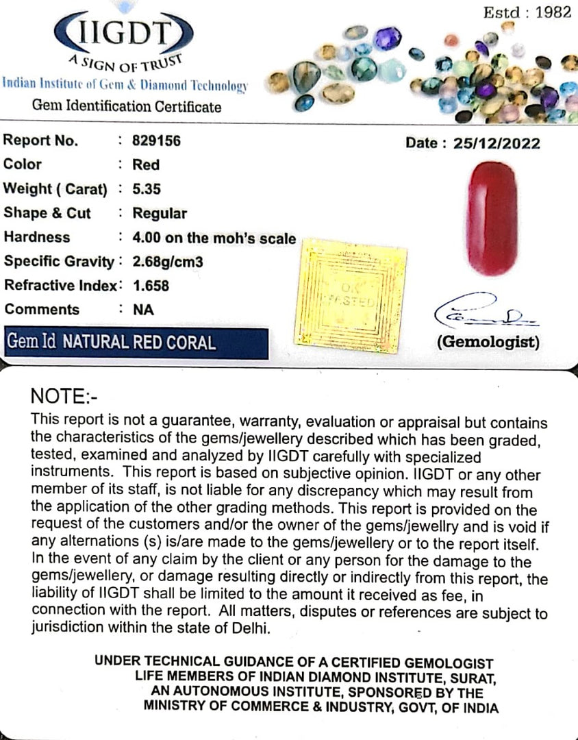 5.35/Carat Natural Cylindrical Red Coral-943