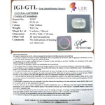Load image into Gallery viewer, Pukhraj-(3441)
