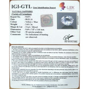 Pitambari Neelam -23310