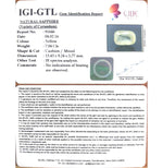Load image into Gallery viewer, 7.82 Ratti Natural yellow sapphire with Govt Lab Certificate-(6100)
