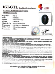 15.66 Ratti Natural Scapolite Cat's Eye with Govt. Lab Certified-(1221)