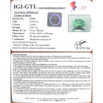 Load image into Gallery viewer, 3.49/CT Natural Panna Stone with Govt. Lab Certificate (6771)
