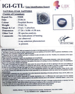 Load image into Gallery viewer, 21.80 Ratti Star Sapphire with Govt. Lab Certificate-(5661)

