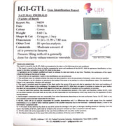 8.60/CT Natural Panna Stone with Govt. Lab Certificate (8991)