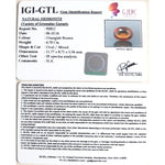 Load image into Gallery viewer, 4.70/CT Natural Govt. Lab Certified Ceylonese Gomed-(1221)
